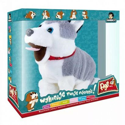 Pies FIGO Mądry szczeniak Madej