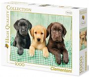 Clementoni Puzzle Trzy Labradory 1000el 